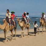 キャメル サファリ（ラクダ乗り）