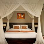 ヴィラ ジェラミ 帰国日プラン