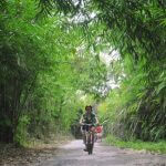 ウブド サイクリング（自転車）