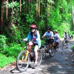 ウブド サイクリング（自転車）
