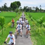 ウブド サイクリング（自転車）